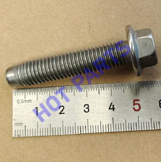 картинка FLANGE SCREW M10*45  2043006800