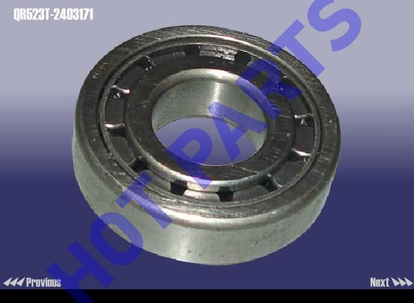 DIFFERENTIAL BEARING